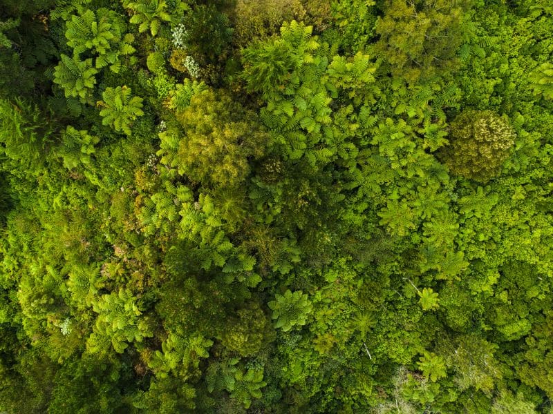 Soluzioni di imballaggio sostenibili